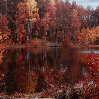 beautiful-scenery-lake-surrounded-by-trees-with-autumn-colors