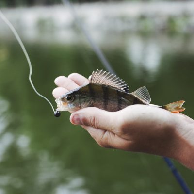 tiny-fresh-caught-fish-hand-against-lake