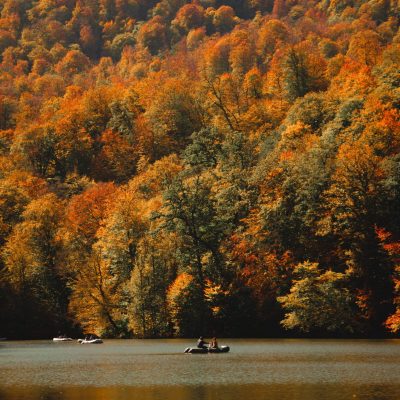 A vertical shot of people sailing  in a green ake full surrounded by a colorful autumn forest
